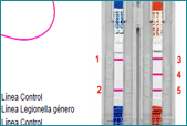 LEGIONELLA VIRAPID